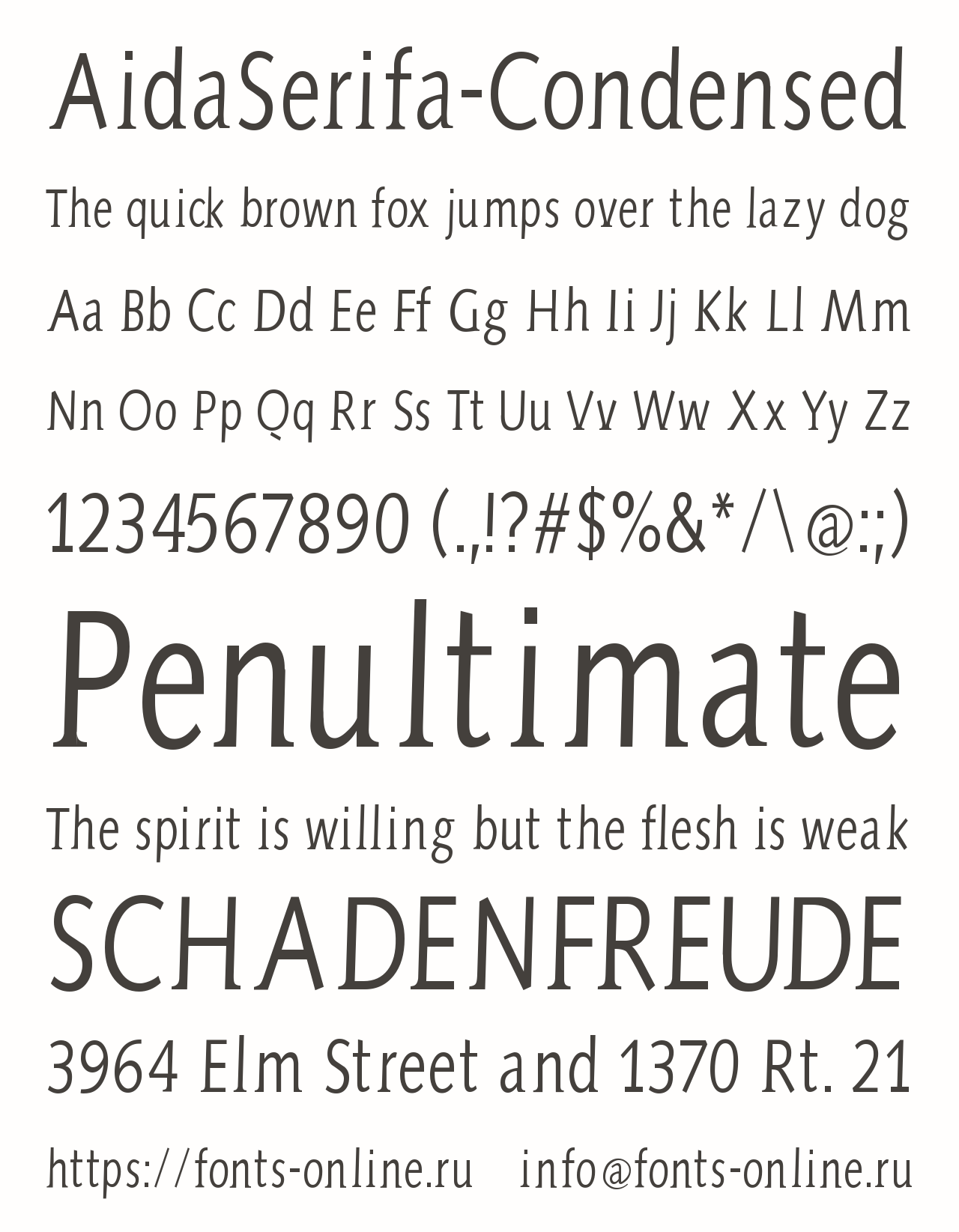 AidaSerifa-Condensed Free Font Download