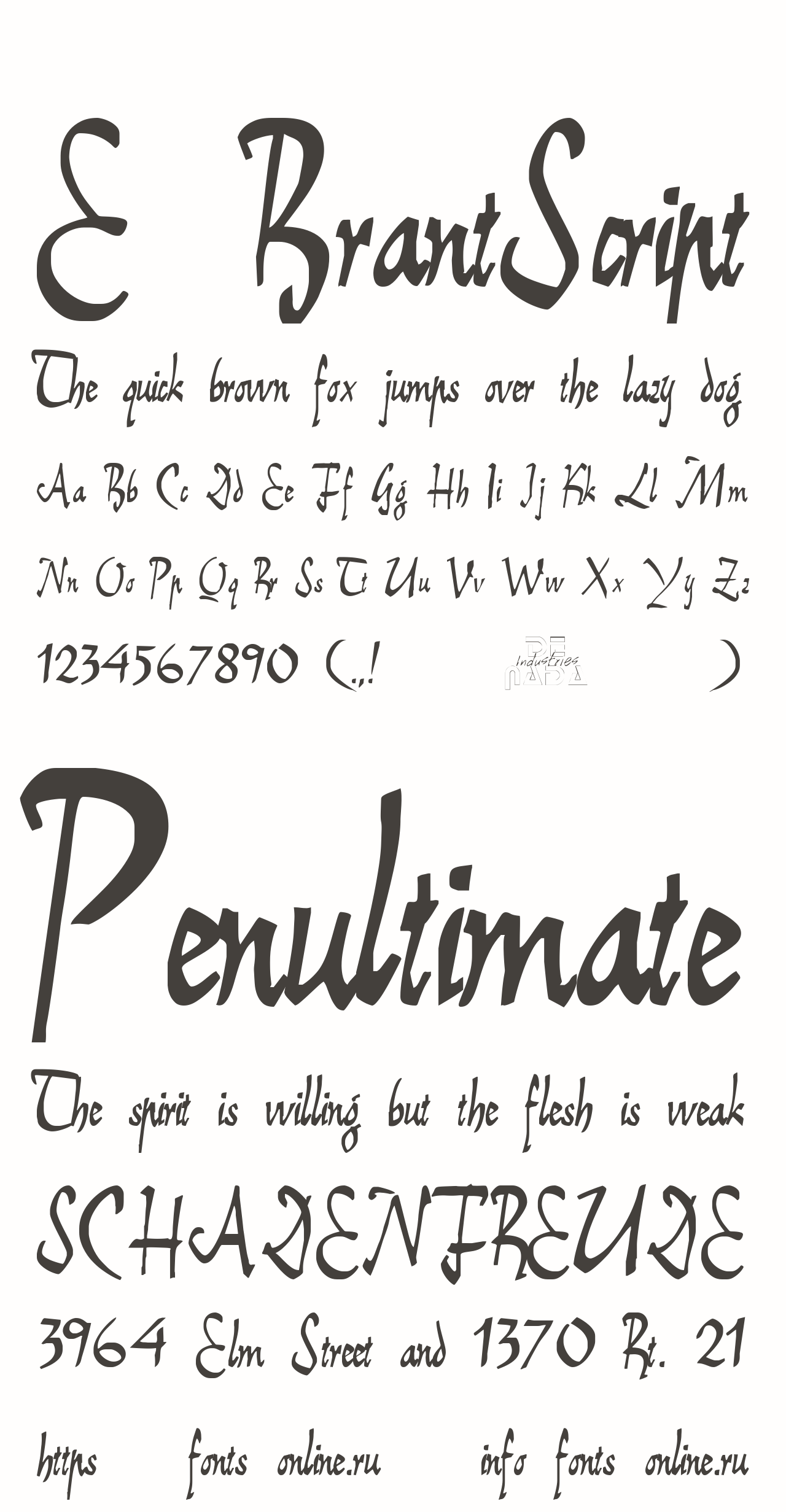 E-BrantScript Free Font Download