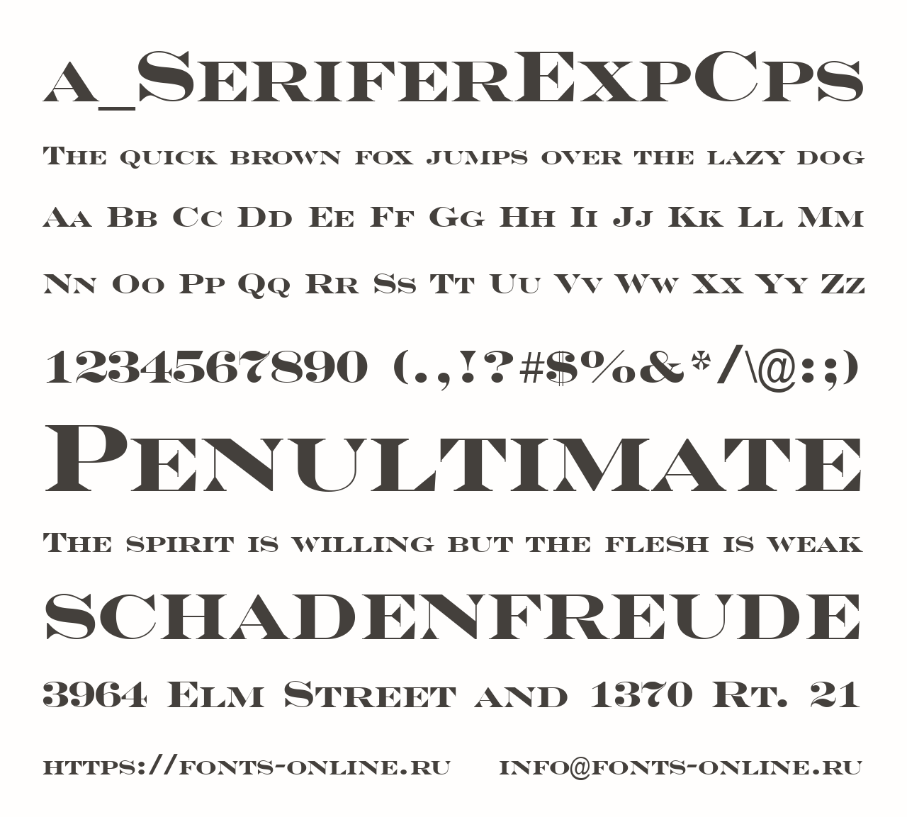 a_SeriferExpCps Free Font Download
